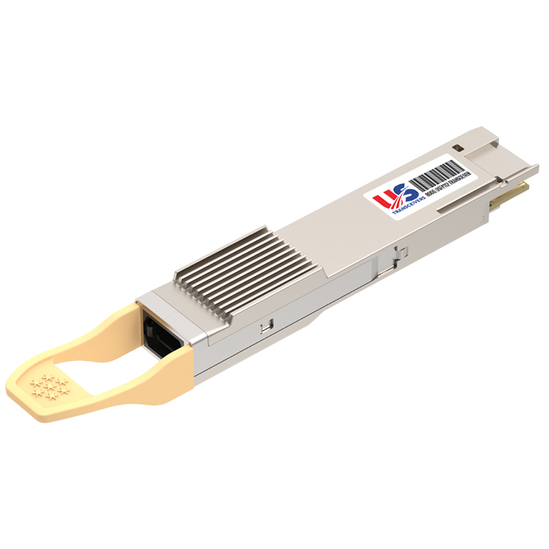 800GB